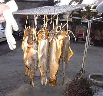 �����Ă��Ԃɒ݂�