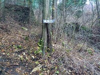 有笠山ハイキング