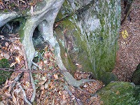 有笠山ハイキング