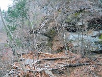 有笠山ハイキング