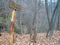 有笠山ハイキング