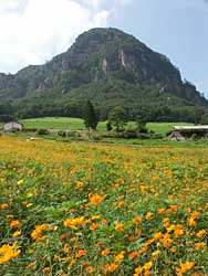 ������t�����[�K�[�f��