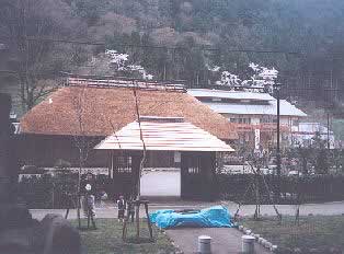 ���Ώ����₫