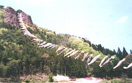 �����̂ڂ�