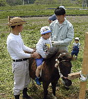 �|�[�j�[��n