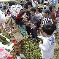 �q�����q��