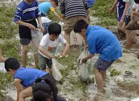 ������