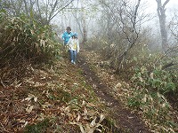 ���R�A�}��