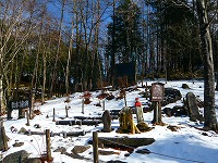 ���Á|���V���n�C�N