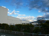 ���Á|���V���n�C�N