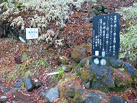 ���Á|���V���n�C�N