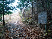 ��l���n�C�L���O