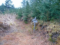 ��l���n�C�L���O