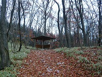 ��l���n�C�L���O