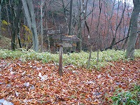 ��l���n�C�L���O