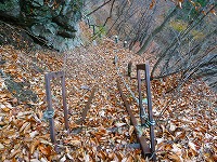 ��l���n�C�L���O