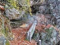 ��l���n�C�L���O