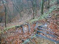 ��l���n�C�L���O