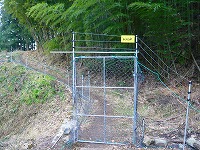 ���c�R�o�R