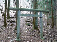 ���c�R�o�R