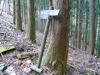 ���c�R�o�R