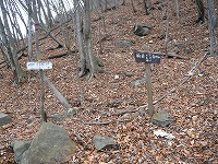 ���c�R�o�R