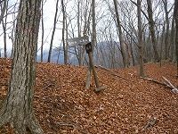 ���c�R�o�R