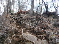 ���c�R�o�R