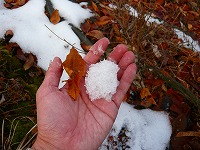 ���c�R�o�R