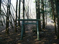 ���c�R�o�R