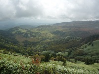 �a�����猩���F�P��