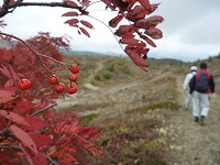 �i�i�J�}�h