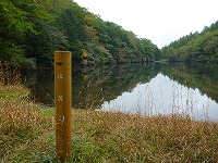 �����q�r