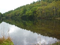 �����q�r