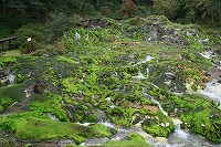 �`���c�{�~�S�P