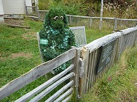 �F�P���q���b�e