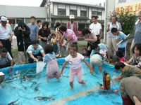 ������