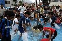 �ɐ����Ղ�