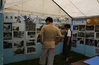 �ɐ����Ղ�