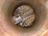 �e,����Ă���