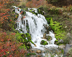 �`���c�{�~�S�P