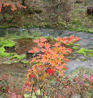 �`���c�{�~�S�P