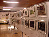 �ʐ^�p�l���W��