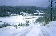 ���]�Ԃ̍⓹,��i�F