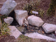 ����������