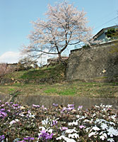 �����V��