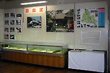 ���w�蕶����