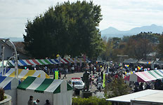 �Y�ƕ�����