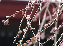 �я�����