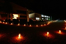 �ɎQ�X�^�W�I�f���